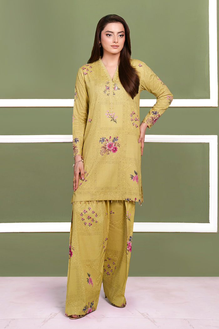 Printed - 2 Pc Cotton Viscose Suit